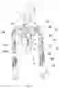 Fig. 02 - Robot