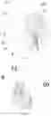Fig. 09 - Robot