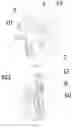 Fig. 11 - Robot