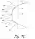 Fig. 06 - Closure with rotation-inhibiting projection