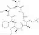 Fig. 131 - Cyclic peptide antibiotics