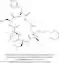 Fig. 511 - Cyclic peptide antibiotics