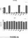 Fig. 04 - Therapeutic agents