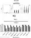 Fig. 07 - LOW PH PHARMACEUTICAL COMPOSITION COMPRISING T CELL ENGAGING ANTIBODY CONSTRUCTS