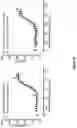 Fig. 07 - Antibody constructs for DLL3 and CD3