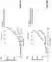 Fig. 09 - Antibody constructs for DLL3 and CD3