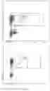 Fig. 03 - Monoclonal antibodies that bind TRBV9 and methods for using same for inhibiting the T cell receptor for treatment