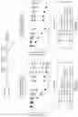Fig. 06 - Modified anti-PD-L1 antibody and methods and uses for treating a neurodegenerative disease