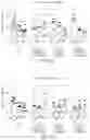 Fig. 08 - Modified anti-PD-L1 antibody and methods and uses for treating a neurodegenerative disease