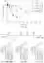 Fig. 15 - Modified anti-PD-L1 antibody and methods and uses for treating a neurodegenerative disease