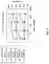 Fig. 13 - Antigen Binding Molecules That Bind EGFR, Vectors Encoding Same, and Uses Thereof