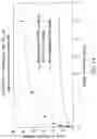 Fig. 16 - Antigen Binding Molecules That Bind EGFR, Vectors Encoding Same, and Uses Thereof