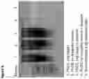 Fig. 09 - Targeted enrichment of long nucleotide sequences using microfluidic partitioning