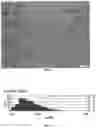 Fig. 06 - Methods of producing continuously cast hot rolled high strength steel sheet products