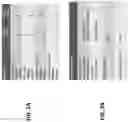 Fig. 04 - CIRCULATING TUMOR CELL DIAGNOSTICS FOR PROSTATE CANCER BIOMARKERS