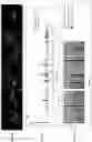Fig. 06 - CIRCULATING TUMOR CELL DIAGNOSTICS FOR PROSTATE CANCER BIOMARKERS
