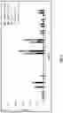 Fig. 09 - CIRCULATING TUMOR CELL DIAGNOSTICS FOR PROSTATE CANCER BIOMARKERS