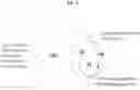 Fig. 09 - Identification of host cell proteins