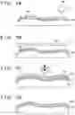 Fig. 02 - Forming apparatus, forming method, and article manufacturing method