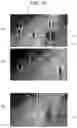 Fig. 06 - APPARATUS AND METHOD FOR PREDICTING ERROR OF ANNOTATION