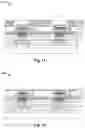 Fig. 09 - Structure and method to expose memory cells with different sizes