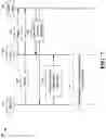 Fig. 08 - Supporting spatial division multiplexing operation in integrated access and backhaul networks