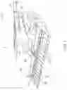 Fig. 02 - Corn stalk roll drive system