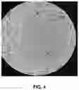Fig. 05 - Starch-based edible coating compositions and uses thereof