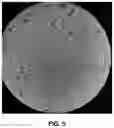 Fig. 06 - Starch-based edible coating compositions and uses thereof