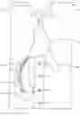 Fig. 01 - Necktie lock