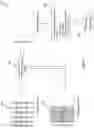 Fig. 04 - 2D multi-layer thickness measurement with reconstructed spectrum