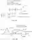 Fig. 13 - Brain-computer interface with adaptations for high-speed, accurate, and intuitive user interactions
