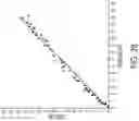 Fig. 28 - Systems and methods for automated and interactive analysis of bone scan images for detection of metastases