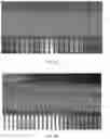 Fig. 07 - Composite scaffold for the repair, reconstruction, and regeneration of soft tissues