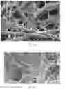 Fig. 22 - Composite scaffold for the repair, reconstruction, and regeneration of soft tissues