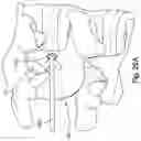 Fig. 50 - Method and apparatus for minimally invasive insertion of intervertebral implants