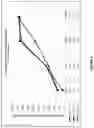 Fig. 06 - Auricular cleaning composition
