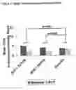 Fig. 03 - Optimized pharmaceutical formulation for the treatment of inflammatory conditions of the esophagus