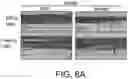 Fig. 07 - Compositions and methods for treating allergic inflammatory conditions