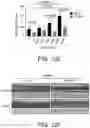 Fig. 17 - Compositions and methods for treating allergic inflammatory conditions