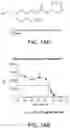Fig. 20 - Compositions and methods for treating allergic inflammatory conditions