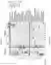 Fig. 09 - ISOINDOLINE COMPOSITIONS AND METHODS FOR TREATING NEURODEGENERATIVE DISEASE