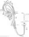 Fig. 01 - Guide extension catheter