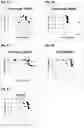 Fig. 02 - Antibody variants