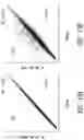 Fig. 12 - HEMATOPOIETIC STEM AND PROGENITOR CELL THERAPY