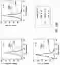 Fig. 21 - HEMATOPOIETIC STEM AND PROGENITOR CELL THERAPY