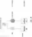 Fig. 25 - HEMATOPOIETIC STEM AND PROGENITOR CELL THERAPY