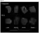Fig. 28 - Bioactive conjugates for oligonucleotide delivery