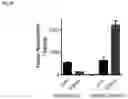 Fig. 40 - Bioactive conjugates for oligonucleotide delivery