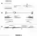 Fig. 05 - Compositions and methods for modulating dysferlin expression